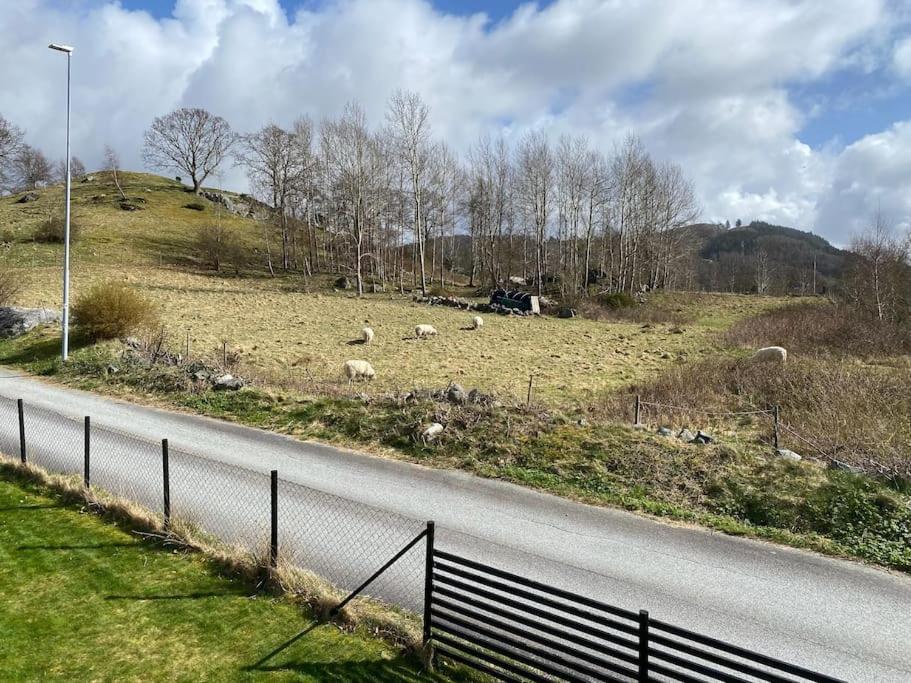 Landlig Enebolig Med Utsikt Villa Jorpeland Exterior photo